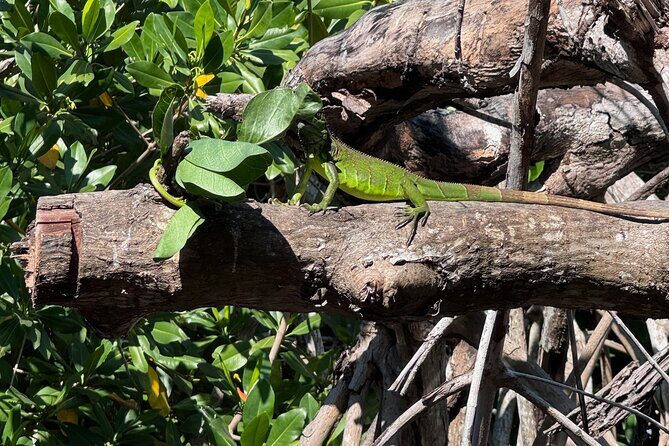 14 Day Beach Paradise Tour in Puerto Escondido Mexico - The Sum Up