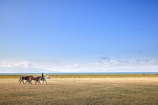 14 Day Epic Kyrgyzstan Trek in Tian Shan and Pamir Alay Mountains - Transportation and Logistics