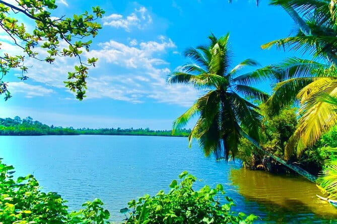 14 Days/ 13 Nights -Sri Lanka Tour on Culture, Wildlife & Beaches - Starting in Negombo: Beaches and Fish Market