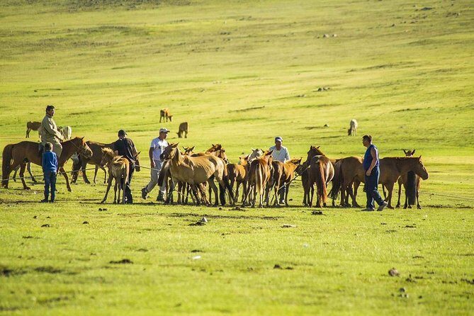 14 Days Eastern Mongolia  Birthplace of Great King Tour - Final Days and Return to Ulaanbaatar