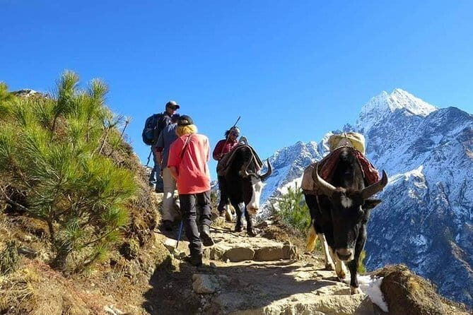 14 Days Everest Base Camp Trekking - FAQ