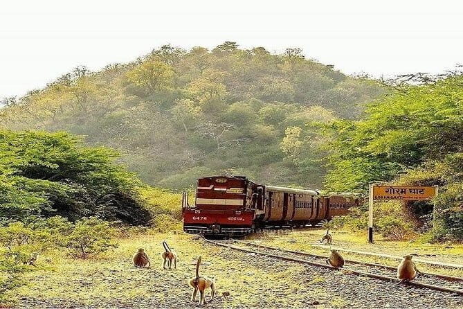 14 Days Heritage Rajasthan Tour - FAQ