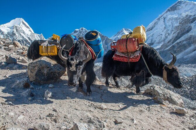 14 Days Private Tour Everest Base Camp Trek - Who Is This Tour Best For?