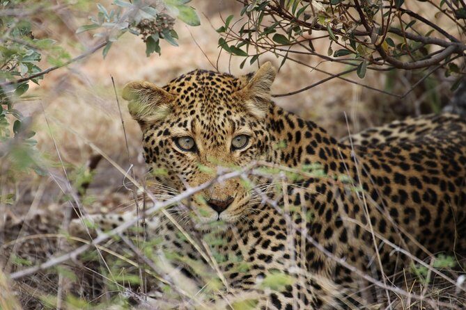 14 Days Sri Lanka Tour - Explore Sri Lanka - Authentic Experiences from Reviewer Insights