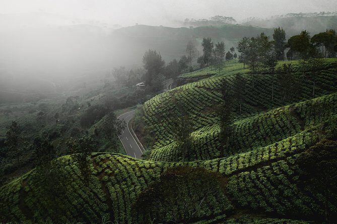 14 Days Sri Lanka Tour - Explore Sri Lanka - FAQs