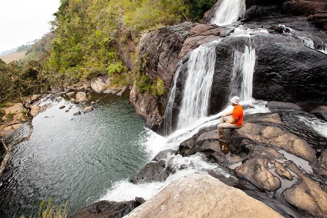14 Days Tour in Sri Lanka - Fortnight Expedition with Luxury Hotels - Who Would Love This Tour?