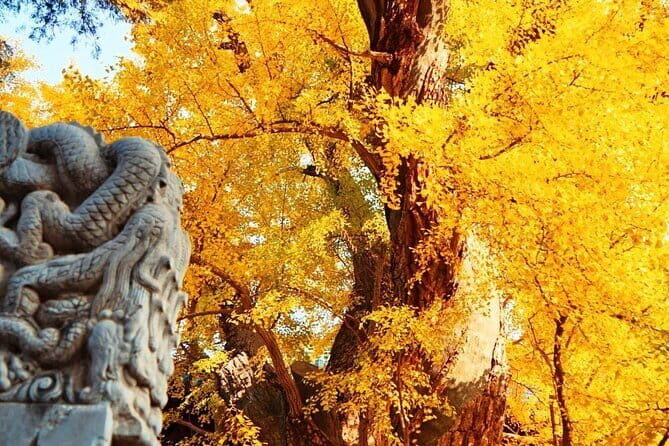 14-Tower Necklace Wild Great Wall Full-Day Hiking Tour - Practical Details and Considerations