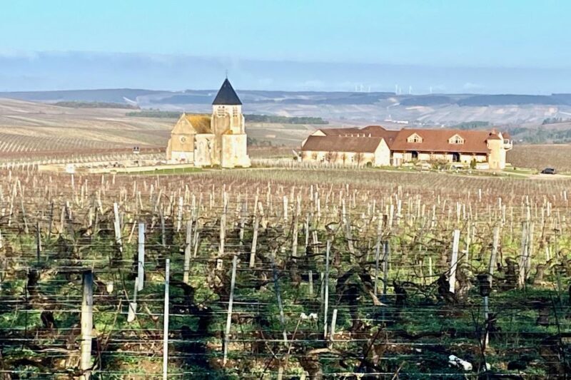 15 Burgundy Wines Chateau Pommard, Chablis Small-Group - An In-Depth Look at the Burgundy Wines & Chateau Pommard Small-Group Tour