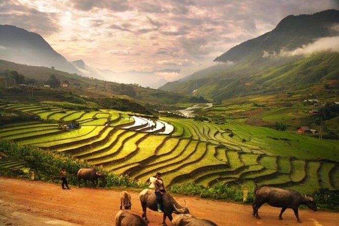 15-Day Majestic Vietnam FULL Package - 68% OFF + Bonuses - Final Thoughts