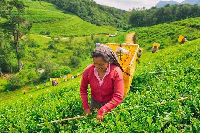 15 Days Around Srilanka - Final Thoughts