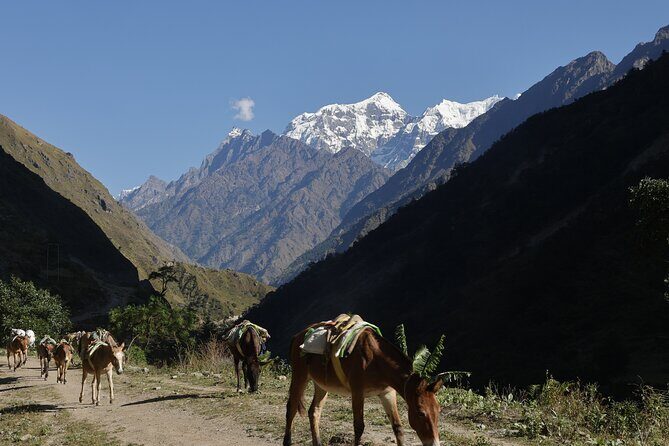 15 Days Manaslu Circuit Trek - Possible Drawbacks or Considerations
