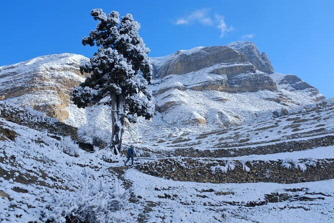15 Days Round Annapurna Trek with Poon Hill from Pokhara - Key Points