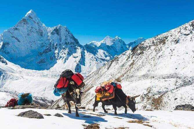 15 Days Round Annapurna Trek with Poon Hill from Pokhara - Final Thoughts