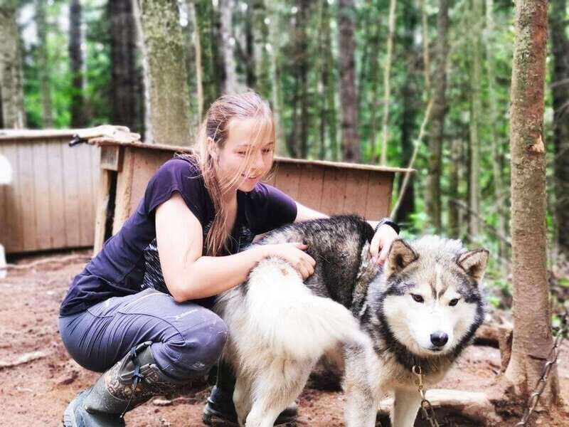 15 min. Tadoussac : Behind-the-Scenes Sled Dog Kennel Tour - Analyzing the Value & Overall Experience