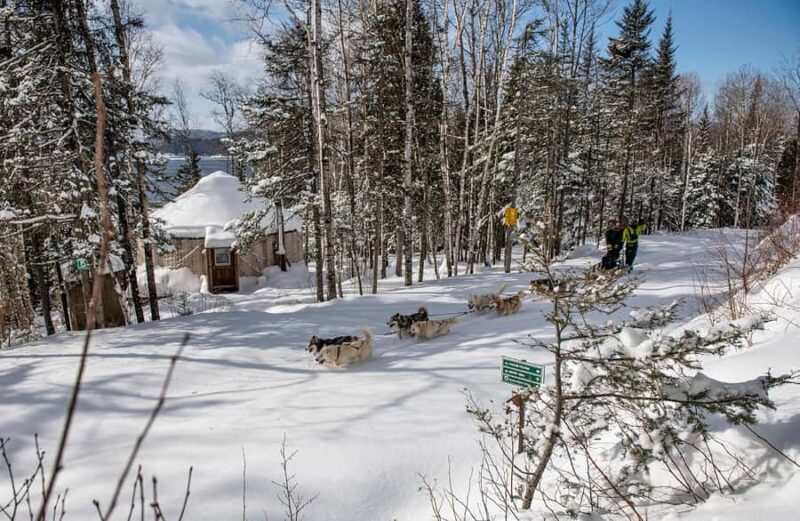 15 min. Tadoussac : Dog Sled Excursion in Saguenay Fjord - Key Points