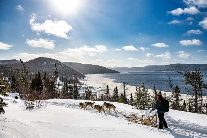 15 min. Tadoussac : Dog Sled Excursion in Saguenay Fjord - A Closer Look at the Dog Sledding Experience in Saguenay Fjord