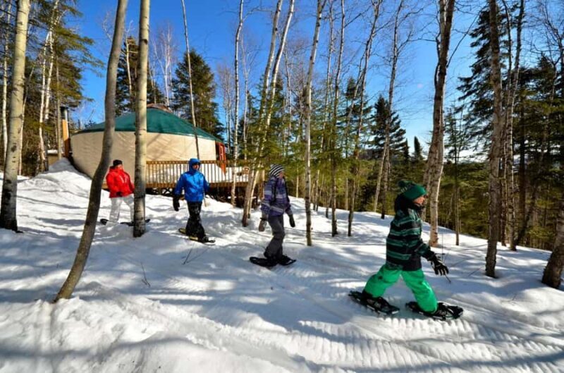 15 min. Tadoussac : Snowshoe Rental - Wildlife and Nature