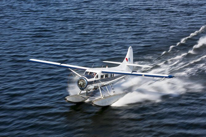 15-Minute Crater Lakes Flight by Floatplane from Rotorua - The Value of a Short Flight