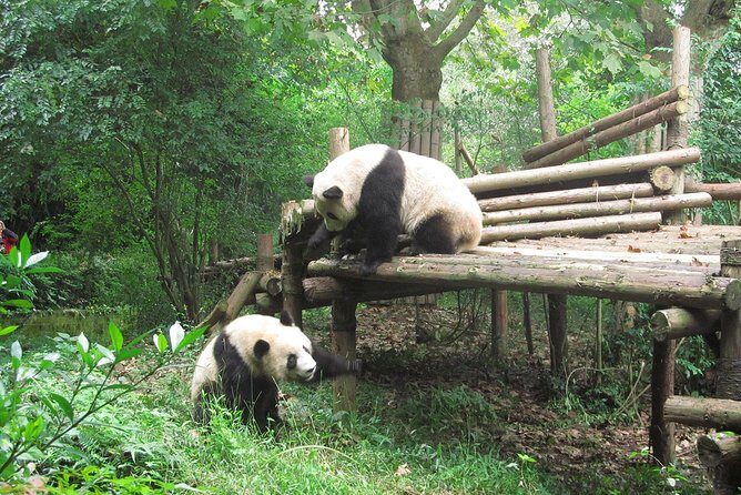 16-Day Private China Essence Tour with Yangtze River Cruise - Key Points