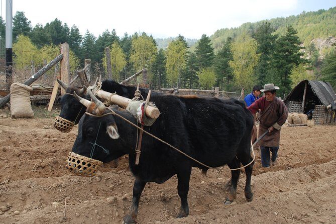 16 Days Amazing Bhutan From East to West - FAQ
