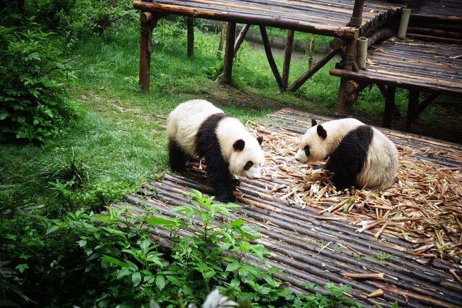 18-Day Classic China Tour: Xi'an-Chengdu-Zhangjiajie-Shanghai - Starting in Beijing: The Imperial Heart of China