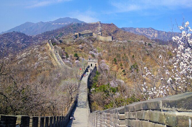 18-Day Classic China Tour: Xi'an-Chengdu-Zhangjiajie-Shanghai - Final Day: Zhujiajiao Ancient Town