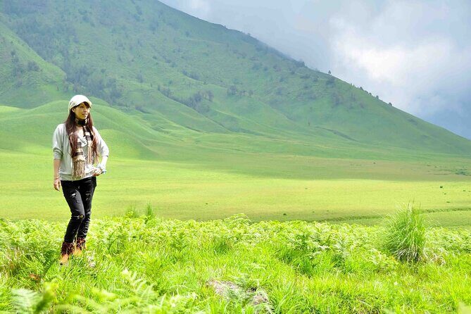 1Day - Bromo Non Sunrise Tour via Malang (to avoid crowd) - Who Is This Tour Perfect For?
