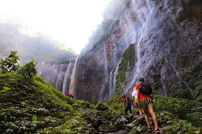 1Day - Tumpak Sewu Waterfall and Goa Tetes Cave Trekking - Introduction