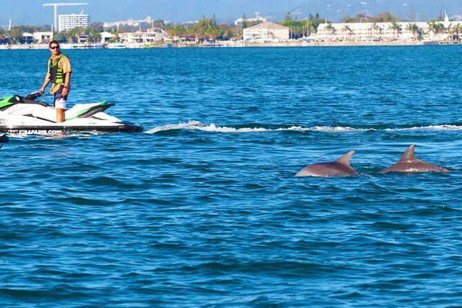 1hr Jet Ski Safari - What to Expect from Your Gold Coast Jet Ski Safari