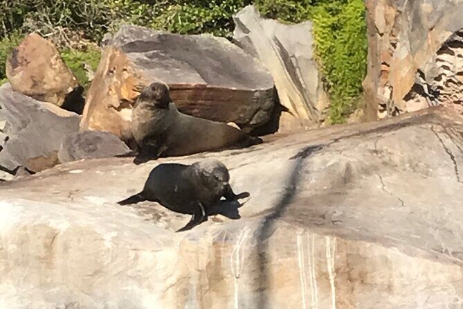 2 1/2 Hr Private Skippered Yacht Charter and Platter on Pittwater - The Sum Up