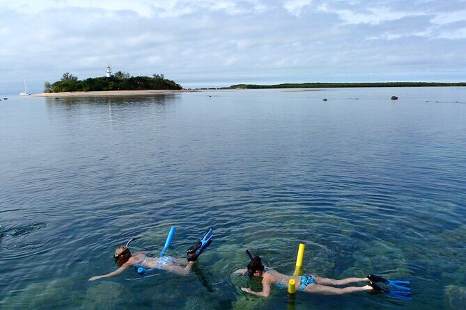 2 1/4 hr Low Isles Reef Sprinter Snorkeling Tour-No Island Access - The Details You Need to Know