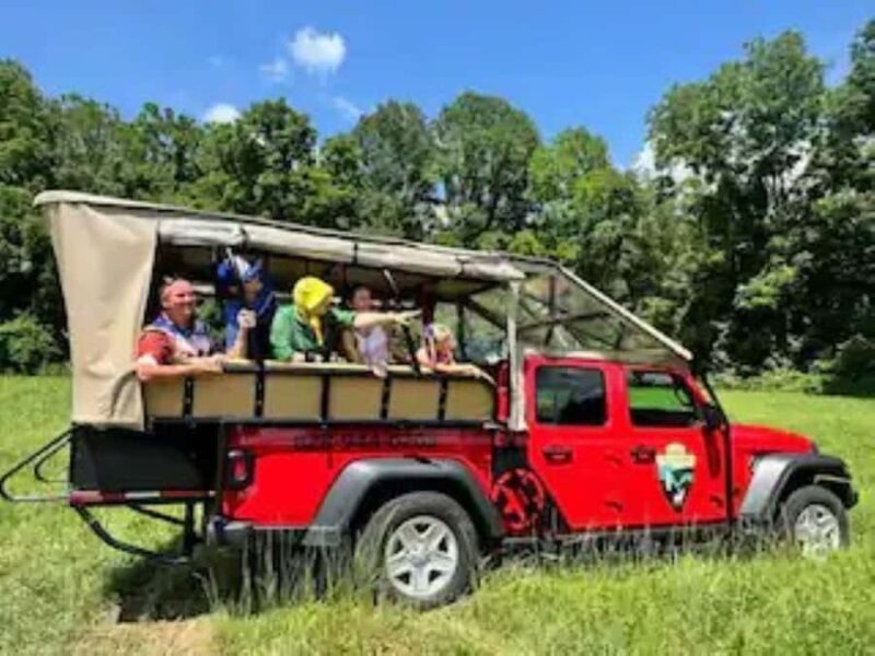 2.5-3 HR Guided Safari Jeep Mile-High Adventure - Introduction