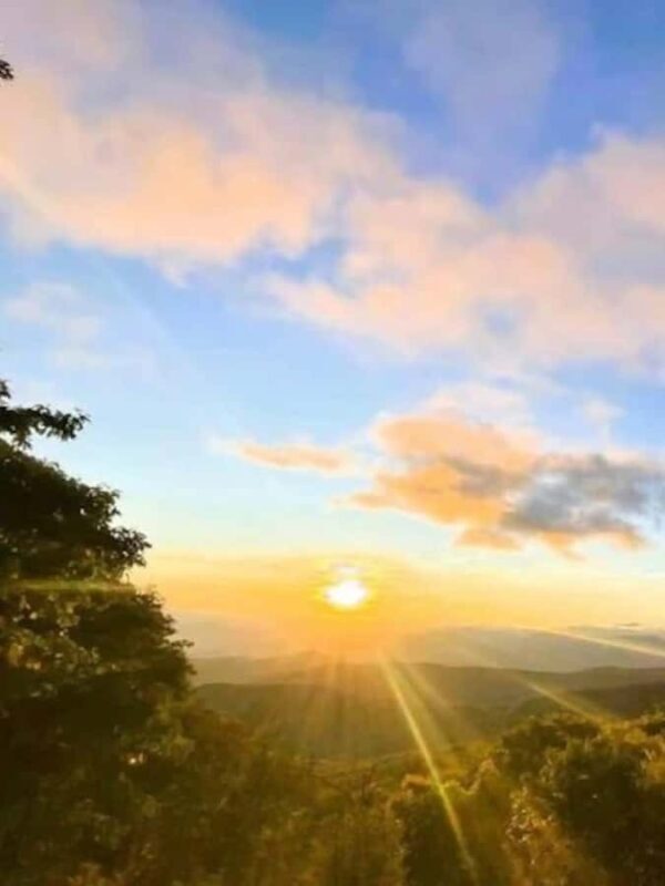 2.5-3 HR Guided Safari Jeep Mile-High Adventure - Who Will Love This Tour?