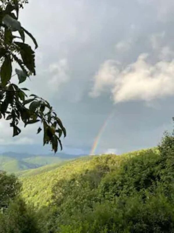 2.5-3 HR Guided Safari Jeep Mile-High Adventure - FAQ