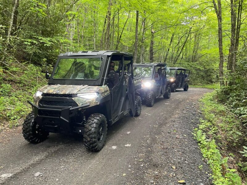 2.5-3 HR Maggie Valley: Guided Scenic UTV Adventure - What the Tour Offers
