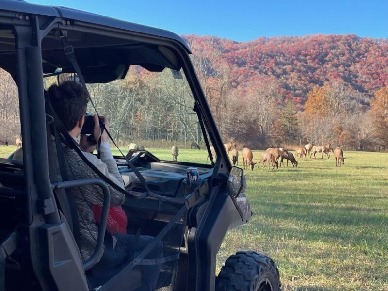 2.5-3 HR Maggie Valley: Guided Scenic UTV Adventure - Authenticity and Experience