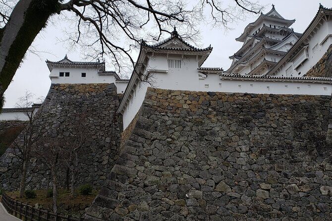2.5 Hour Private History and Culture Tour in Himeji Castle - Why This Tour Stands Out