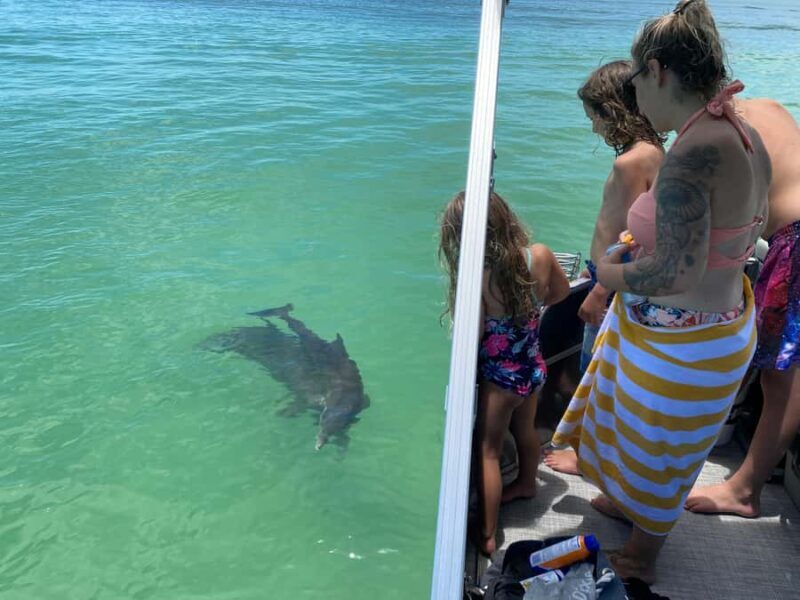 2.5 Hour Shell Key Island Adventure - Dolphins And Shells - What Travelers Are Saying