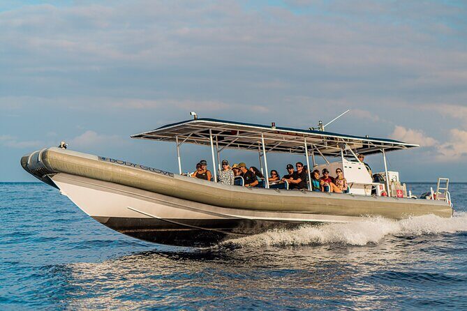 2.5-Hour Whale Watching On A 41' Super-Raft - What the Reviews Tell Us