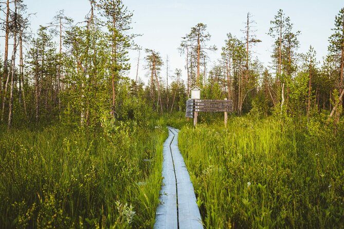 2.5 Hours Hike in Vaattunkikongas Forest Trail - The Weather and Cancellation Policy