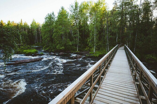 2.5 Hours Hike in Vaattunkikongas Forest Trail - Who Will Love This Tour?