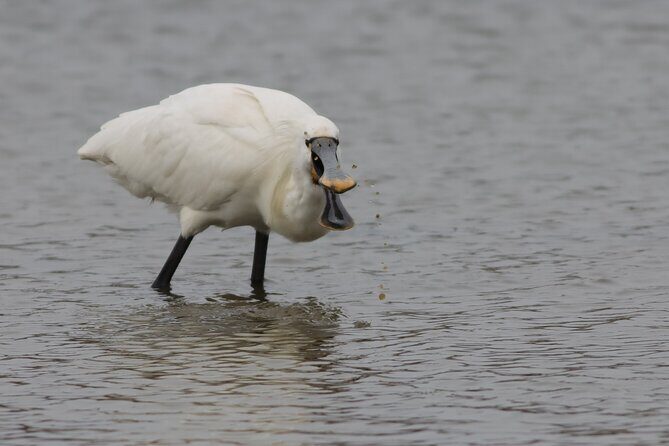 2.5 Hours SightSeeing Tour in Beaulieu River - An In-Depth Look at the Beaulieu River Cruise
