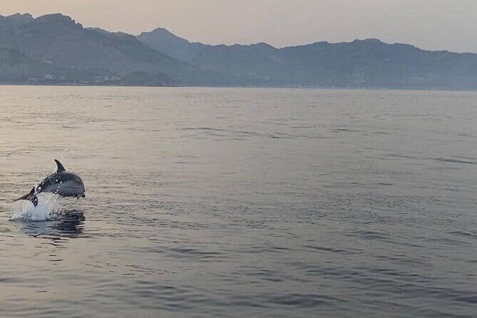 2.5 Hours Sunset Boat Tour in Search of Dolphins - FAQ