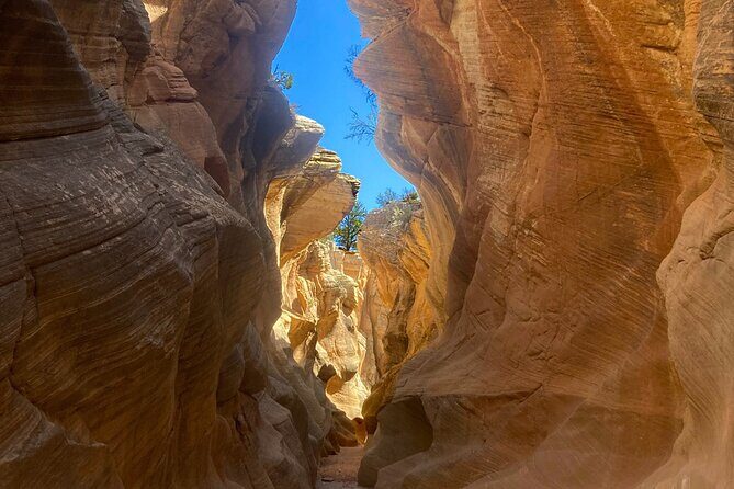 2.5hr Willis Creek/Sunset Tour Paria Valley - What Makes This Tour Stand Out?