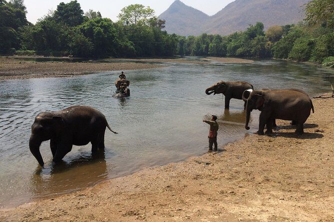 2 day 1 night Elephant World Kanchanaburi from Bangkok - Frequently Asked Questions