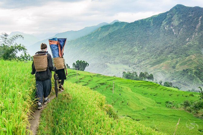 2-Day Amazing Sapa Trek With Sleeper Train From Hanoi - Overnight At Hotel - An In-Depth Look at the Sapa Trek Experience