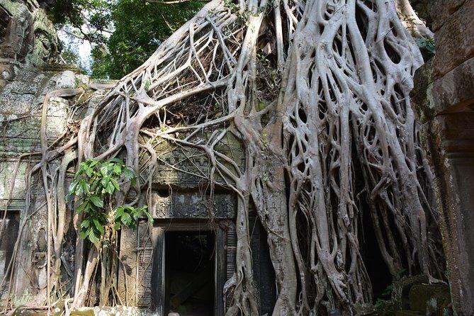 2-Day Angkor Wat Tour from Bangkok - FAQ