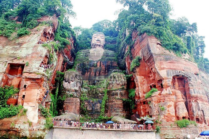 2-Day Chengdu Giant Panda ,Leshan Buddha Private Tour from Xian by Bullet Train - Key Points