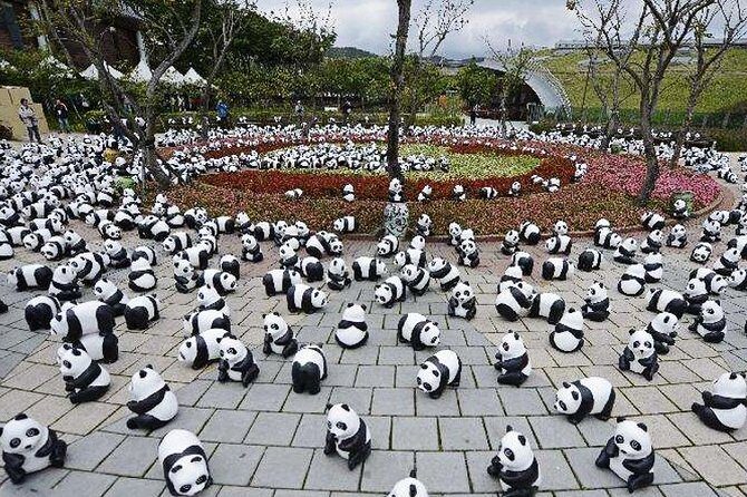 2-Day Chengdu Giant Panda ,Leshan Buddha Private Tour from Xian by Bullet Train - FAQs