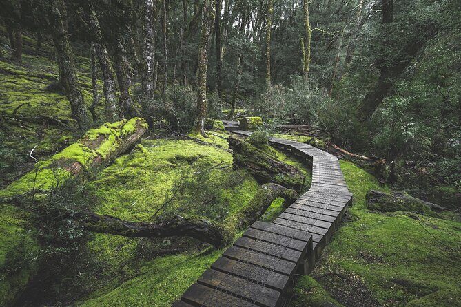 2 day Cradle Mountain and Wineglass Bay - Practical tips for travelers